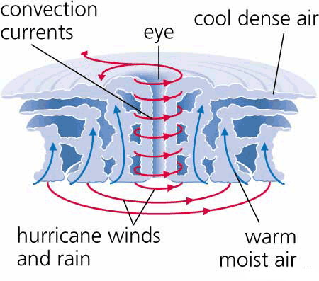 Diagram of a hurricane
